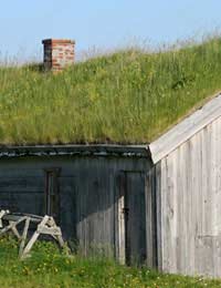 Green Roof Layers Membrane Shed Roof