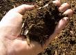 Make Your Own Organic Compost