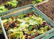 Make Your Own Compost Heap