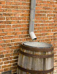 Water Water Conservation Rainwater