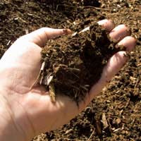Make Your Own Compost Organic Compost