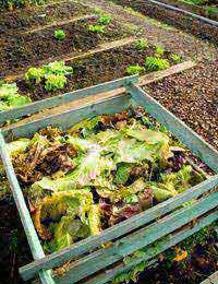 Make Your Own Compost Heap Compost Heap