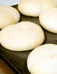 Sourdough Sourdough Culture Sour Dough